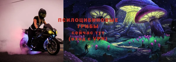 кокс Арсеньев
