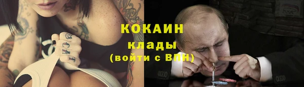 кокс Арсеньев