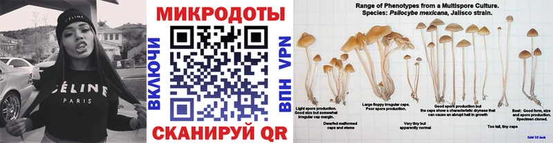 Галлюциногенные грибы Psilocybine cubensis  цены   Ельня 
