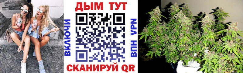 mega как войти  Ельня  Шишки марихуана VHQ 